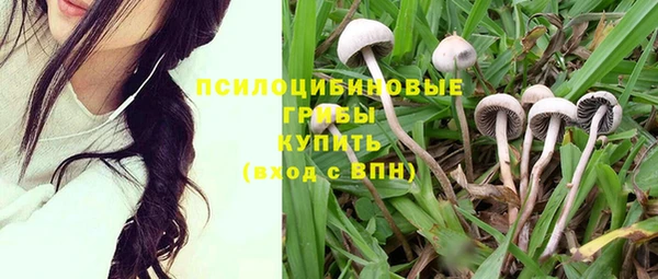 дживик Абаза