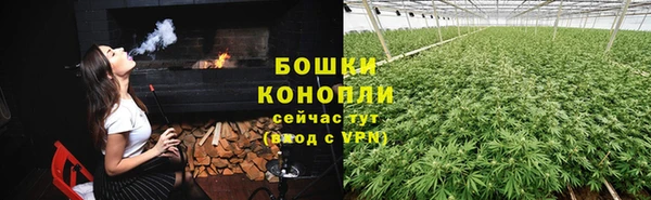 дживик Абаза