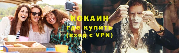 дживик Абаза