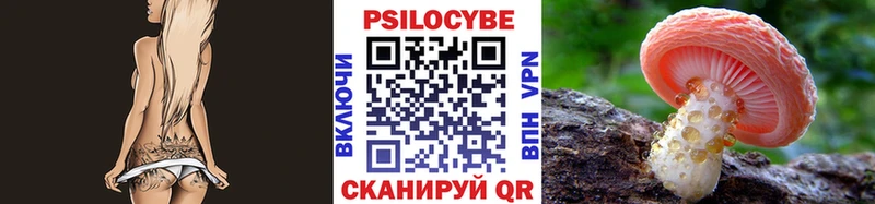 Псилоцибиновые грибы Psilocybine cubensis Абаза